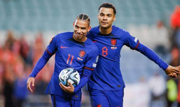 在线娱乐-6比0大啖鱼腩替补尽兴，荷兰收官战找回“失踪人口”